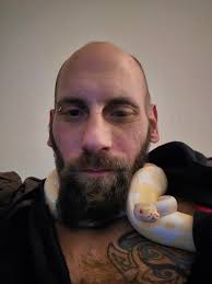 Pythons astonish me. This young one was able to swallow three medium sized  chickens. I know its three because it regurgitated them and then swallowed  them again. Waiting for it to finish