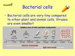 Check spelling or type a new query. Cell Structure Learning Intention Ppt Video Online Download
