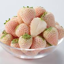 Địa Chỉ Uy Tín Mua Dâu Tây Đà Nẵng Ngon Chuẩn VietGap. Xem Ngay!