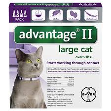 Advantage Ii Flea Tick Drops For Cats Over 9 Lb 4 Pk Flea Tick Meijer Grocery Pharmacy Home More
