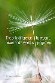 Pin On Favorite Quotes And Inspirational Words