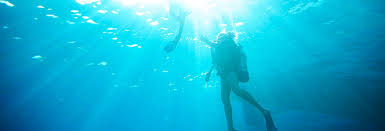 Oahu Snorkeling Scuba Diving Hawaii Life Vacations