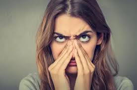 LOCAL SPORTS ROUNDUP: Siena's Don DeNyse III finishes collegiate career at  NCAA West Regional golf tournament