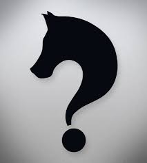 Something About Horses Question Mark Logo Vraagteken Uitroepteken Honden