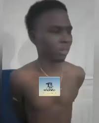 Les Amis De Michel Martelly president 2022