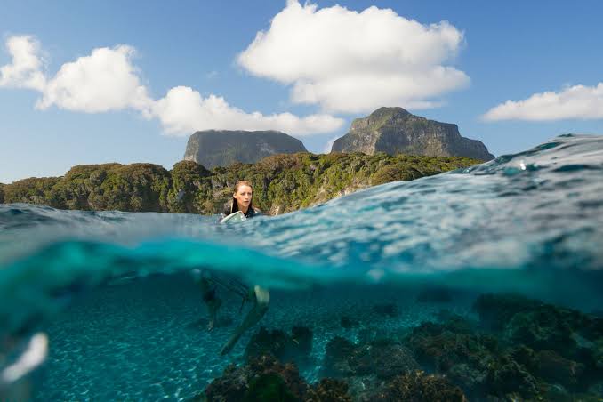 6 Shark Attack Myths from 'The Shallows' | National Geographic
