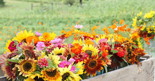 Flower delivery is available throughout miami, florida through our online virtual flower shop. The Red Feedsack Farm Fresh Flowers