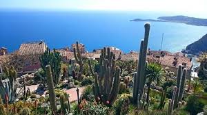 Le Jardin Exotique D Eze Trip Advisor Jardin France Travel