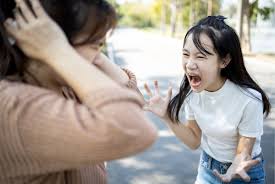 Image result for Angry Behavior
