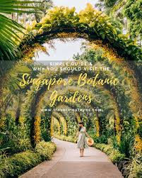 Why You Should Visit The Singapore Botanic Gardens Travel In Our Eyes Singapore Botanic Gardens Singapore Garden Botanical Gardens