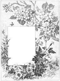 Vintage Digital Victorian Nature Illustrations 7 X 9 1 2 Frame Botanical Border Flowers Victorian Nature Illustration Illustration Botanical Illustration