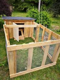 nurserie poussins et canetons amenagement jardin paysager amenagement jardin jardin paysager