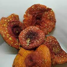 Dried Amanita Muscaria Caps (30 g / 1 oz) – Amanita Muscaria Shop