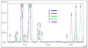 Image result for alloy edx micrograph
