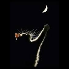 Efek rumah kaca — di udara. Stream Efek Rumah Kaca Di Udara Mp3 By User508126218 Listen Online For Free On Soundcloud