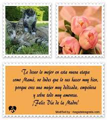 Feliz día madre querida y un grato saludo para mi hermana, mis tías y amigas en este día tan especial. Mensajes Por El Dia De La Madre Para Una Hermana Frases Por El Dia De La Madre Megadatosgratis Com