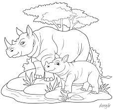 coloriage un rhinoceros et son petit horse coloring pages animal books loup anime
