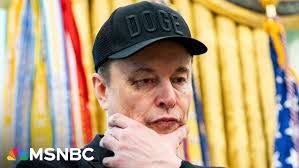 Shelby Joyner's Instagram, Twitter & Facebook