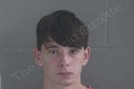 Branden Nettles — Brantley County Jail Bookings