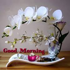 The first feelings of the day are often the most persistent, so it's always best to make them good and positive. Morning Flowers