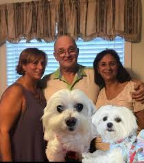 💙 A Father's Day Poem for Our Grandpa 💙 by Lil Hopey B & Furangel Mellow  B From heaven's Bridge to where you stand, We send you love, Grandpa, paw  in hand.