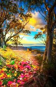 Sign In Nature Pictures Beautiful Nature Nature Photography