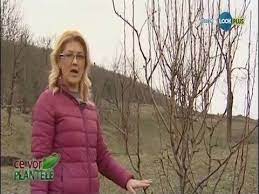 Егор крид крутой премьера клипа 2019. Ce Vor Plantele Taierile Pomilor Fructiferi Youtube Planting Herbs Youtube Growing Vegetables