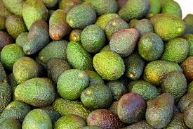 Image result for Avocado Dark 1969 Tappan