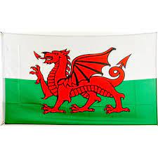 Da die exakte form des drachens nicht standardisiert ist, gibt es mehrere varianten der walisischen fahne. Flagge 90 X 150 Wales Gb 7 95