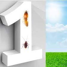 Call us and find out why we are the leading pest control company in singapore. Pest Control In Jacksonville Yelp