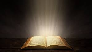 Psalm 117 is the shortest chapter in the holy bible. 7 Scriptures To Impart Light Into Your Daily Life By Debbie Walker Middle Pause Medium