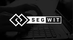 Segwit Adoption Tapers Off After Rapid Early Growth The Block