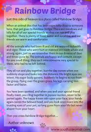 Rainbow bridge poem digital download pet loss pet sympathy gift and pet memorial aluminum sign. For A Cause
