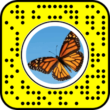 Snap To Unlock Snapchat Snapchat Filters Selfie Snapchat Filters Snapchat Filter Codes