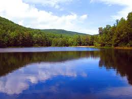 We did not find results for: George Washington Jefferson National Forest Virginia Recreation Gov