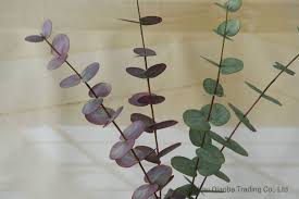 Check spelling or type a new query. Fashion Decorative Artificial Bamboo Plants Leaves Silk Bamboo Leaves Bamboo Leaves China Artificial Leaf And Decoration Leaf Price Made In China Com