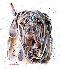 Use these mastiff drawing pillows to accent any living room or bedroom. Neapolitan Mastiff Watercolour Print Neapolitan Mastiff Etsy Watercolor Paintings Of Animals Watercolor Dog Pictures To Draw