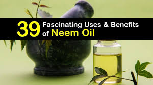 1 making neem oil insect spray for plants. 39 Fascinating Uses Benefits Of Neem Oil