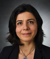 A twenty-year ESM legacy