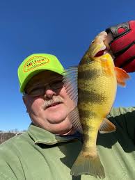 Jigging for perch, any tips?