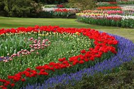 We have 15 colorful perennials to invigorate your garden for fall. 10 Herbaceous Ornamentals Nc State Extension Publications