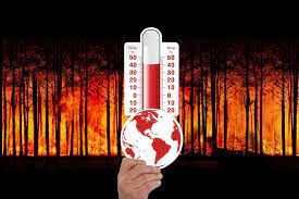 La oms cuenta con un plan activo y de larga data para proteger la salud del cambio climático, que se guía por una resolución de la asamblea mundial de la salud. Que Es El Cambio Climatico