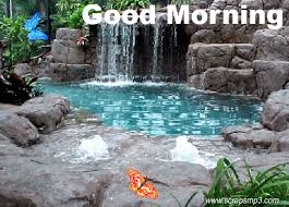Check spelling or type a new query. Gif Image Popular Nature Good Morning Sunday Gif