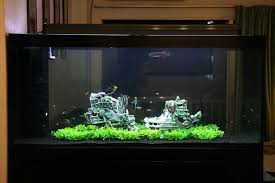 Shipwreck Cool Fish Tank Decorations Fish Tank Decorations Aquascape