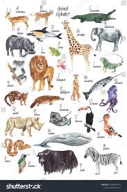 Pin On Wildlife Animals