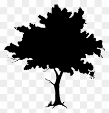 Please remember to share it with your friends if you like. African Tree Silhouette Png For Kids Clip Art Tree Silhouette Free Transparent Png Clipart Images Download