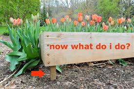 We did not find results for: Gardening On Uneven Ground Leveling Raised Beds A Way To Garden