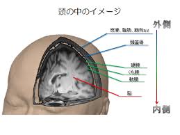 The site owner hides the web page description. é ­éƒ¨å¤–å‚· è¨ºç™‚å†…å®¹ è‡¨åºŠ ç¥žæˆ¸å¤§å­¦åŒ»å­¦éƒ¨é™„å±žç—…é™¢ è„³ç¥žçµŒå¤–ç§'