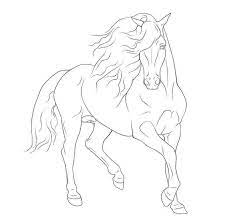 Download Or Print This Amazing Coloring Page Horse Drawing Coloring Pages Running Arabian Horse Coloring Pa Horse Coloring Pages Horse Coloring Horse Drawings