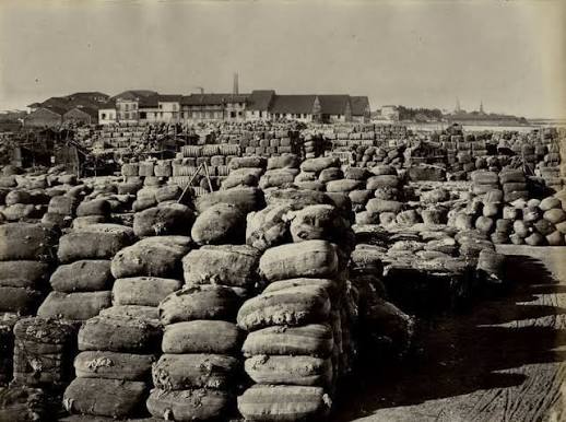 File:Cotton bales at the port in Bombay in the 1860s.JPG - Wikimedia Commons